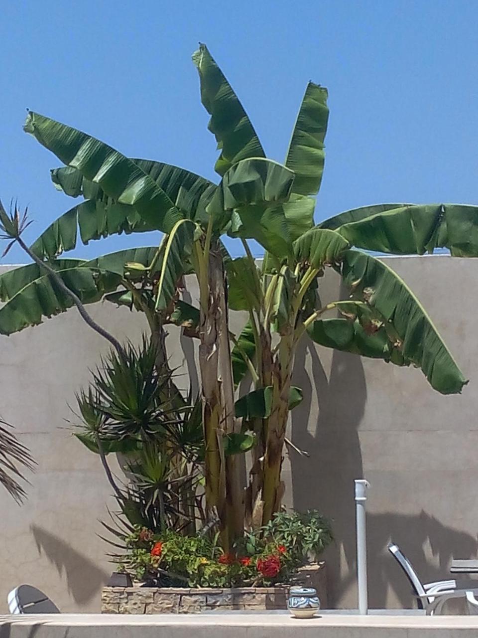 Riad La Villa & Spa El Jadida Εξωτερικό φωτογραφία