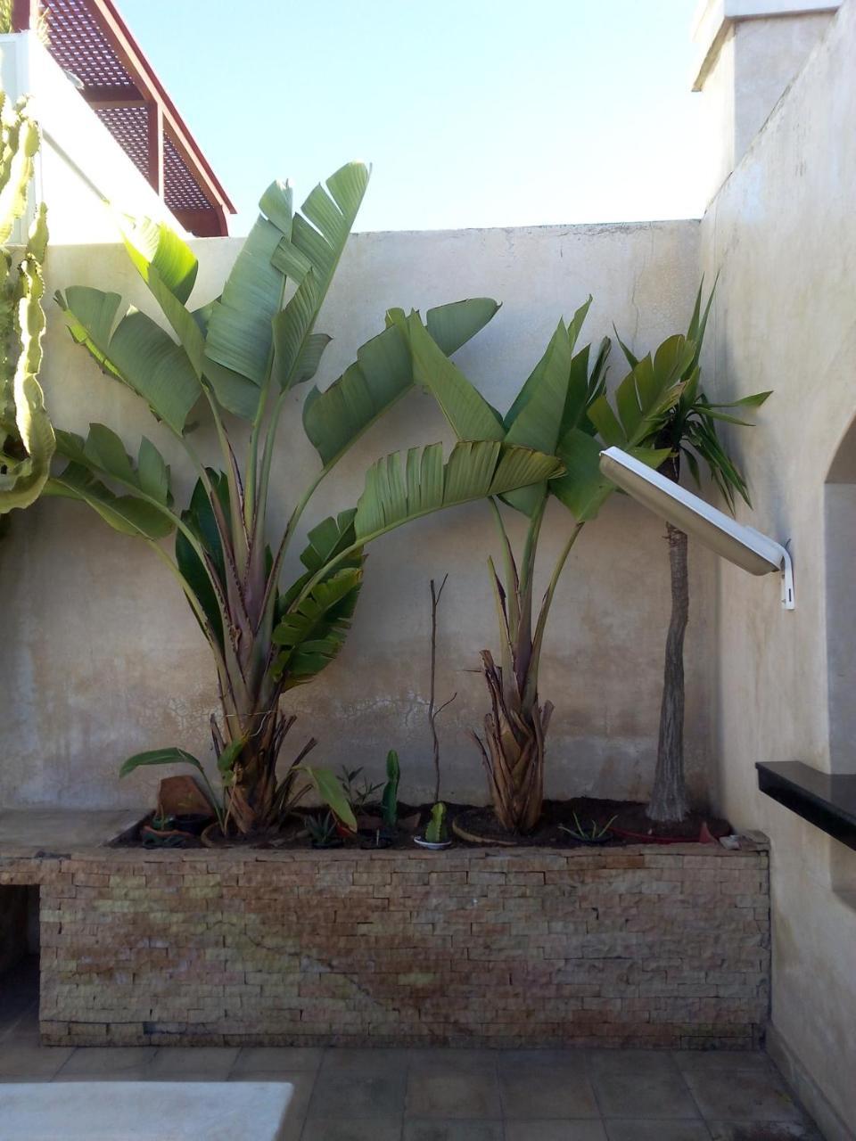 Riad La Villa & Spa El Jadida Εξωτερικό φωτογραφία